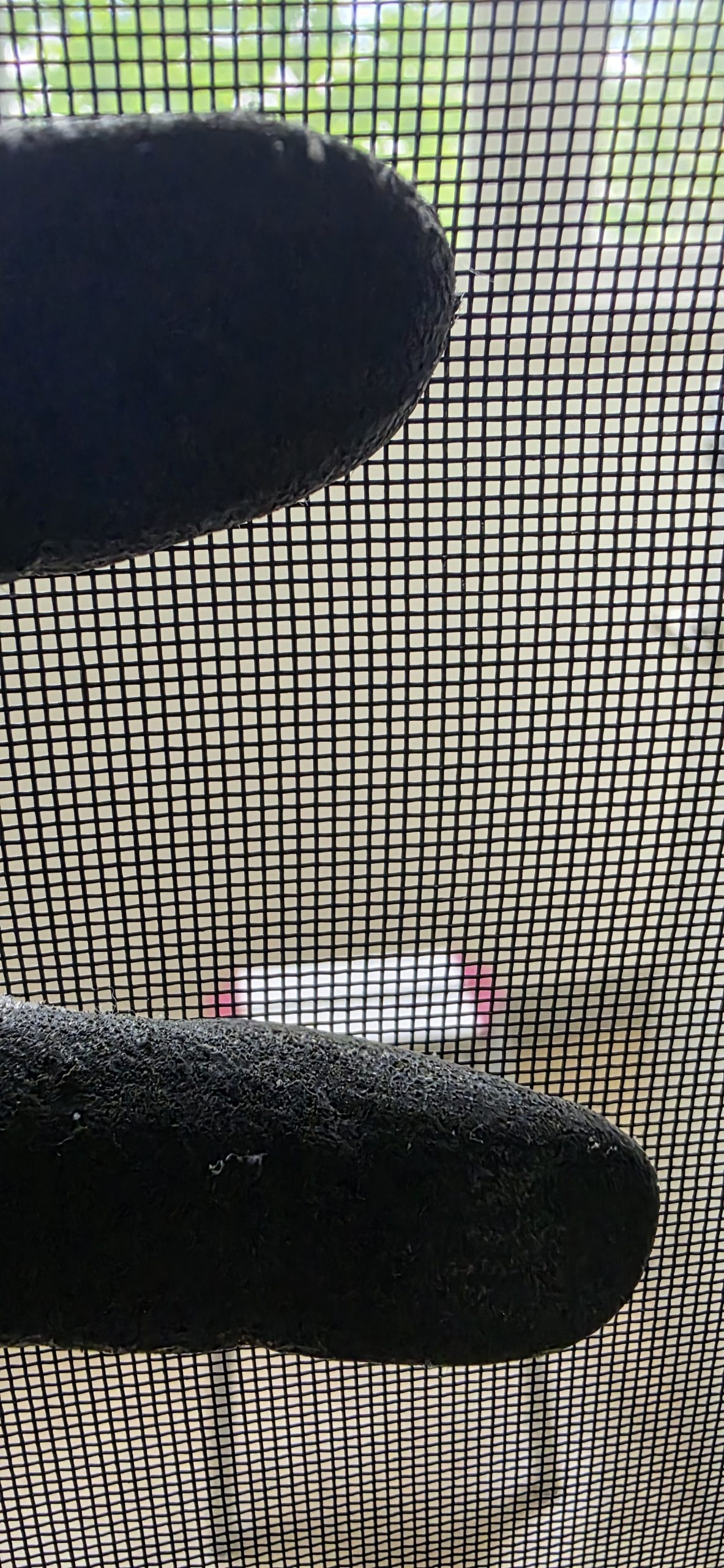 김천현관방충망