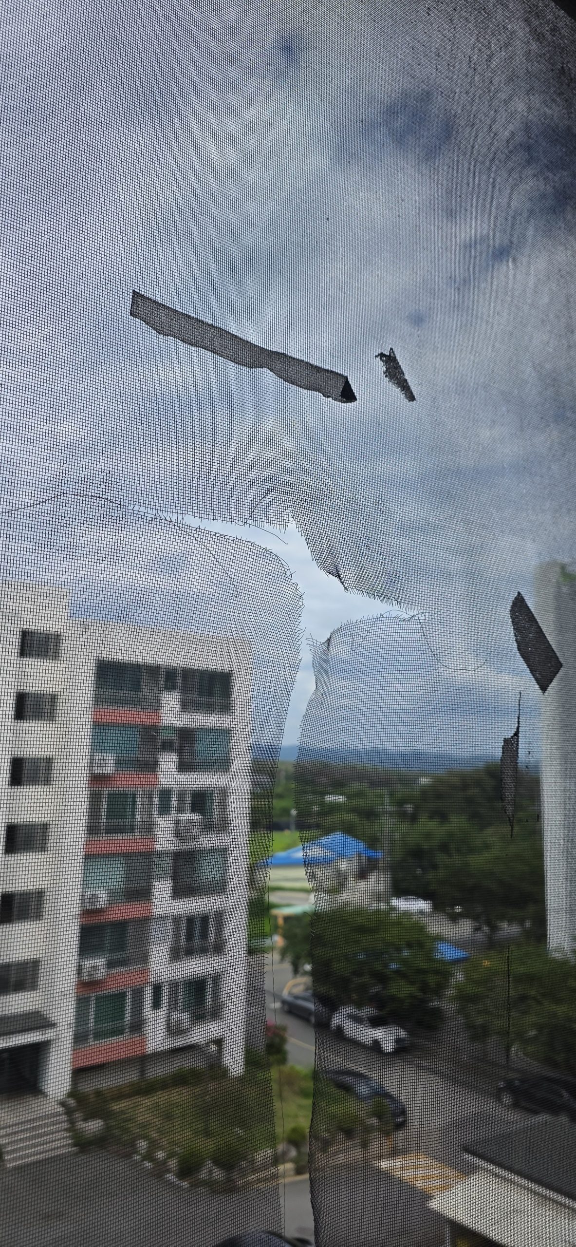경주안강방충망