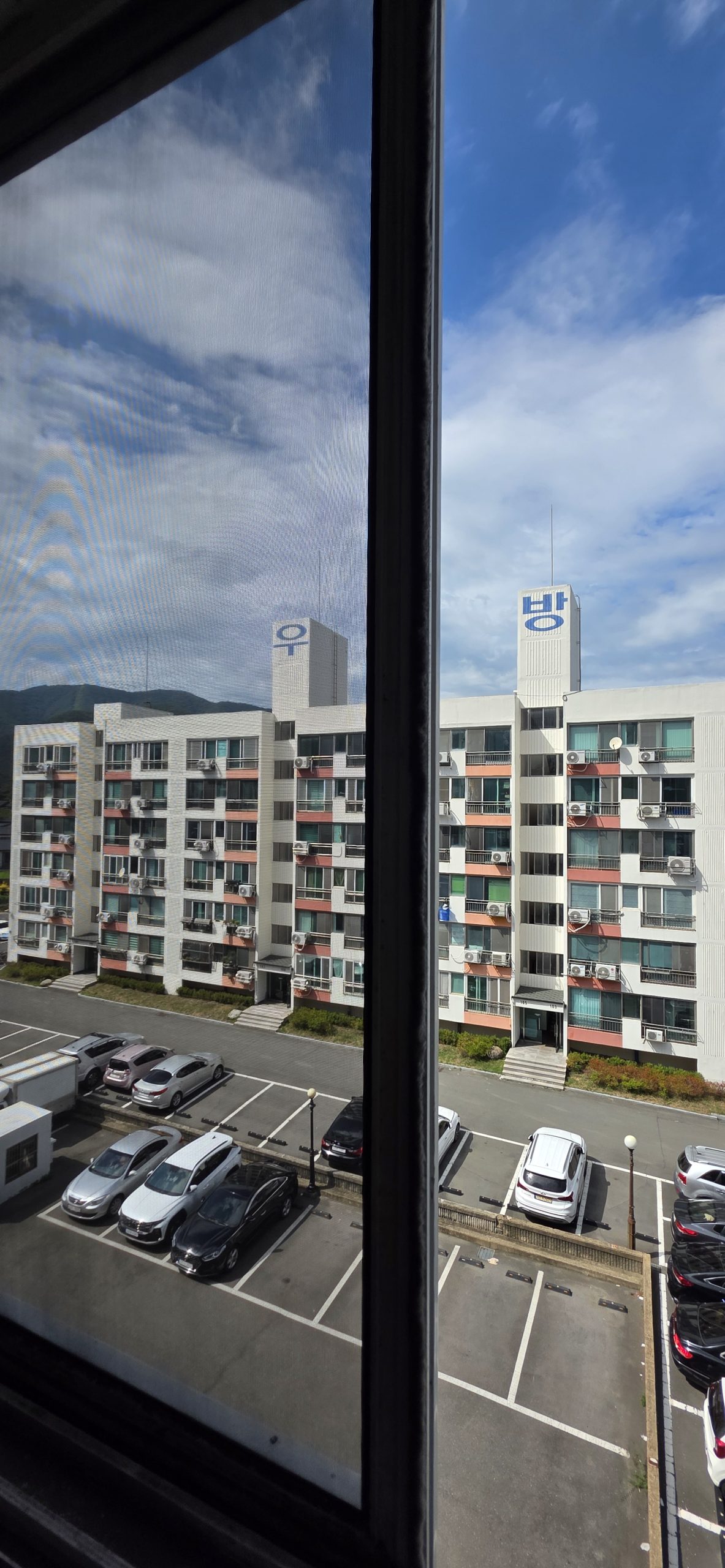 경주안강방충망
